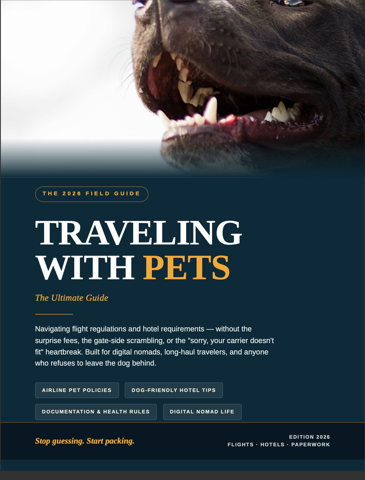 Traveling with Pets: The Ultimate Guide