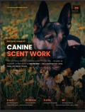 Canine Scent Work: The Indoor Beginner
